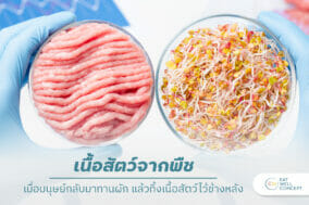 เนื้อสัตว์จากพืช (Plant based Protein)