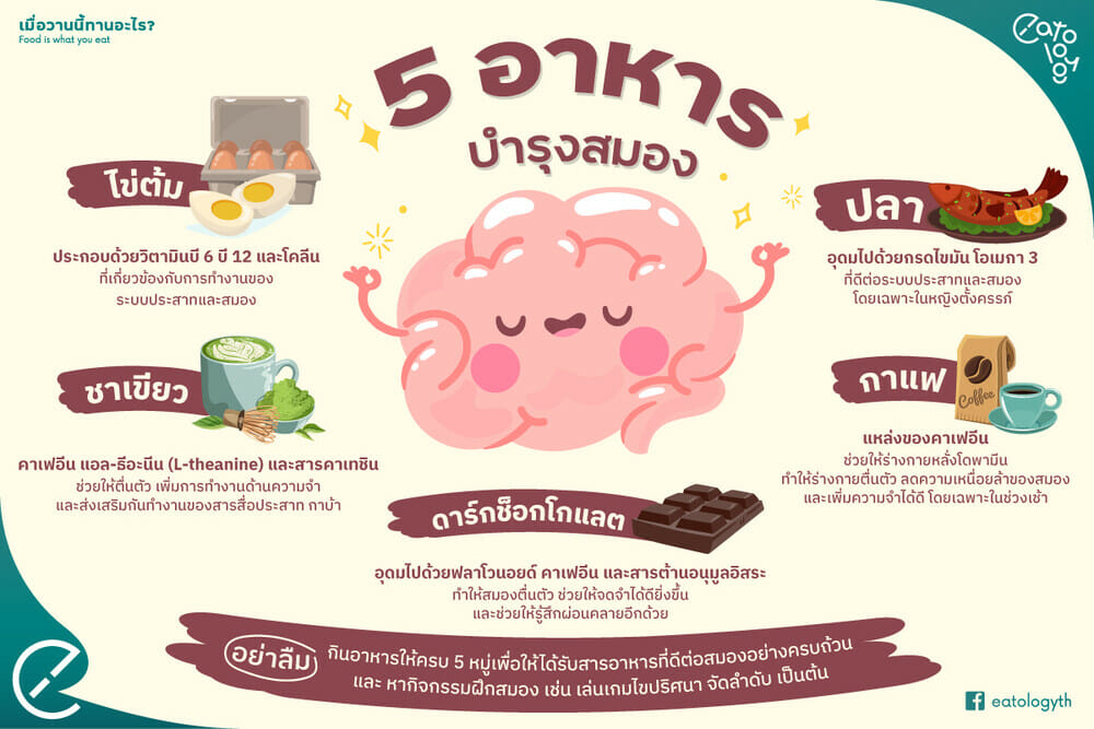 5 อาหารบำรุง สมอง