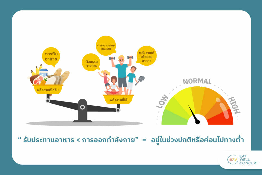 พลังงาน จากอาหาร และ พลังงาน จากการออกกำลังกาย