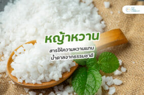 Cover-หญ้าหวาน
