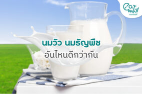 นมวัว-นมธัญพืช-อันไหนดีกว่ากัน-Cover-EWC