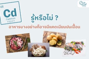 EWC Cover -แคดเมียม