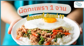 กะเพรา1 จาน กี่แคล-EWC
