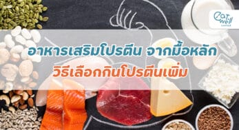 อาหารเสริมโปรตีน จากมื้อหลัก-EWC