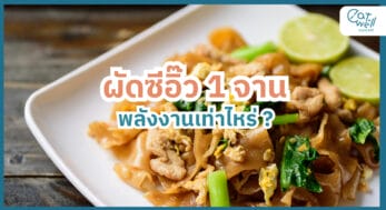 ผัดซีอิ๊ว พลังงาน-EWC