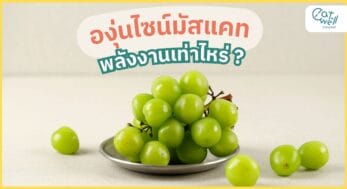 องุ่นไชน์มัสแคท-Thumbnail-EWC