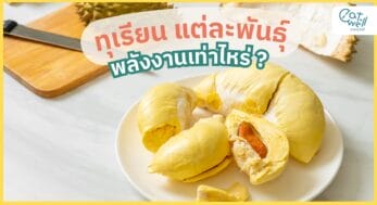 ทุเรียน พลังงาน -EWC