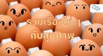 รวมเรื่องไข่-EWC