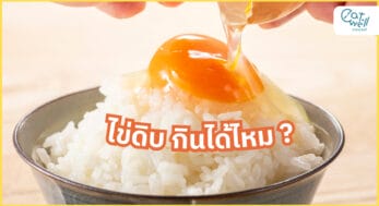 ไข่ดิบ-EWC