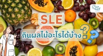 SLE-กินผลไม้อะไรได้บ้าง-EWC