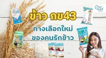 ข้าว กข43-EWC
