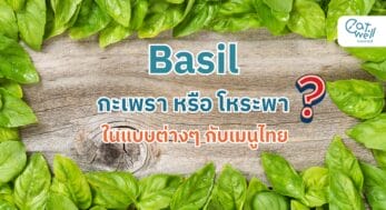 Basil กะเพรา โหระพา-EWC