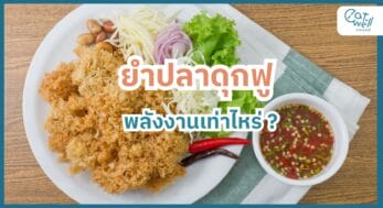 ยำปลาดุกฟู พลังงานเท่าไร-EWC