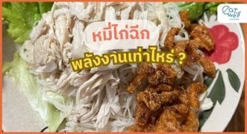 หมี่ไก่ฉีก (ภาพปก) -EWC