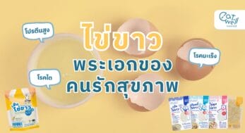 ไข่ขาว คนรักสุขภาพ-EWC