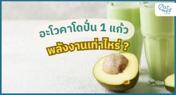 อะโวคาโดปั่น พลังงาน-EWC