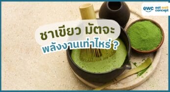 ชาเชียว มัตจะ กี่แคล -EWC