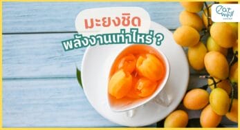 มะยงชิด พลังงาน -EWC