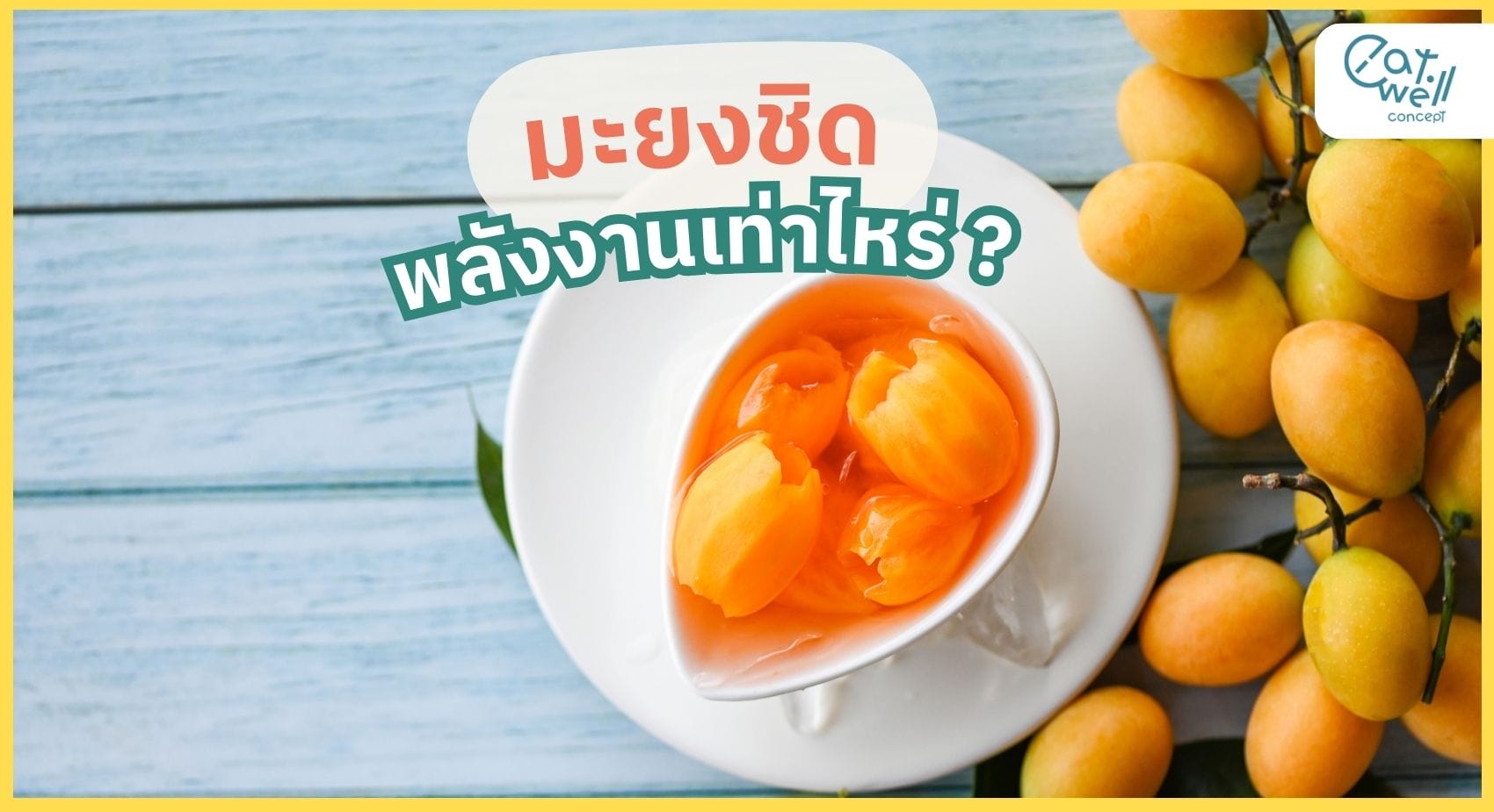 มะยงชิด พลังงาน -EWC